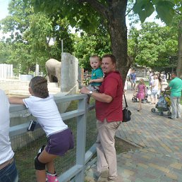 ����, ������-��-����, 46 ���