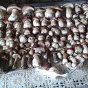 ���� ������, �����-���������, 70 ��� - ��������� 19 ���� 2016 � ������ ������ 2016�