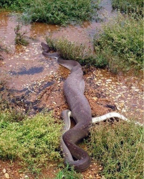   :   .        ... - 6