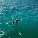 ���� Leon, ������� - ��������� 17 ���� 2016 � ������ ���� ����������