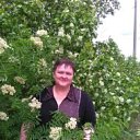 ���� ����, �������, 54 ���� - ��������� 10 ���� 2016 � ������ ���� ����������