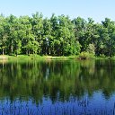 ����-���� �� ������� ���� ����������