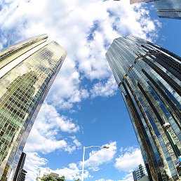 ���� Gio, �������, 43 ���� - ��������� 14 ��� 2016