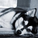 ���� �������, ��������, 76 ��� - ��������� 23 ����� 2016 � ������ ������ ��������