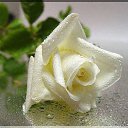 ���� Maria, ������, 70 ��� - ��������� 9 ������ 2016 � ������ ������ ��������