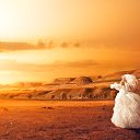 ���� �������, ���������, 44 ���� - ��������� 31 ����� 2016 � ������ ���� ����������