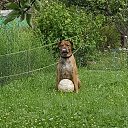 ���� Vitalij, ���������, 66 ��� - ��������� 1 ������� 2016 � ������ ���� ����������