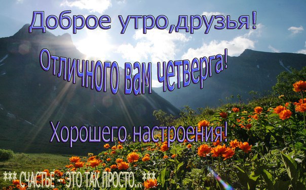  - 16  2016  06:37