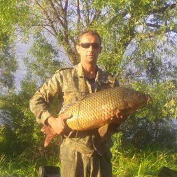 ���� ���������, ������, 55 ��� - ��������� 14 ��� 2016