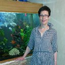 ���� �������, ���������, 50 ��� - ��������� 8 �������� 2016 � ������ ���� ����������