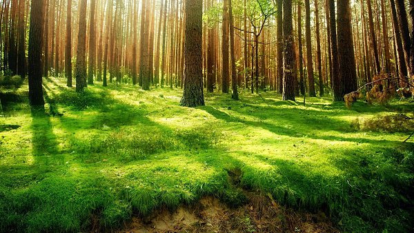 У каждого есть такие места, забыть о которых невозможно, хотя бы потому, что там воздух помнит твоё ... - 3