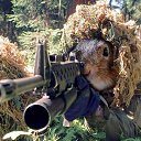  ,  , 46  -  24  2016    