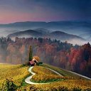 ���� ��, ����, 65 ��� - ��������� 8 �������� 2016 � ������ ������ ��������