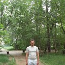 ���� ϸ��, �������, 43 ���� - ��������� 29 ������� 2016