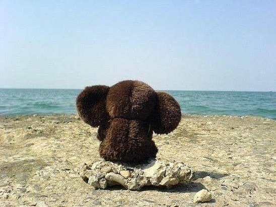 Когда вас любят – не бросают, Не оставляют плачущей одну. И позвонить не обещают, А звонят двадцать ...