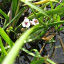 ���� ��������, �����������, 61 ��� - ��������� 27 ���� 2016 � ������ ��������