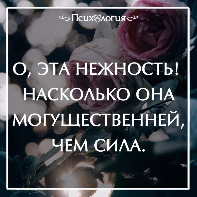 Нежность это определение. Сила и нежность. О эта нежность насколько она могущественней чем сила.