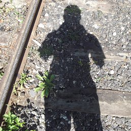 ����, ��������