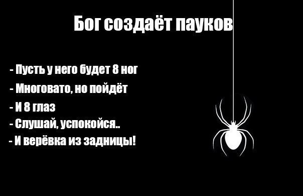 Теории о происхождении видов с точки зрения креационистов. | Just ...