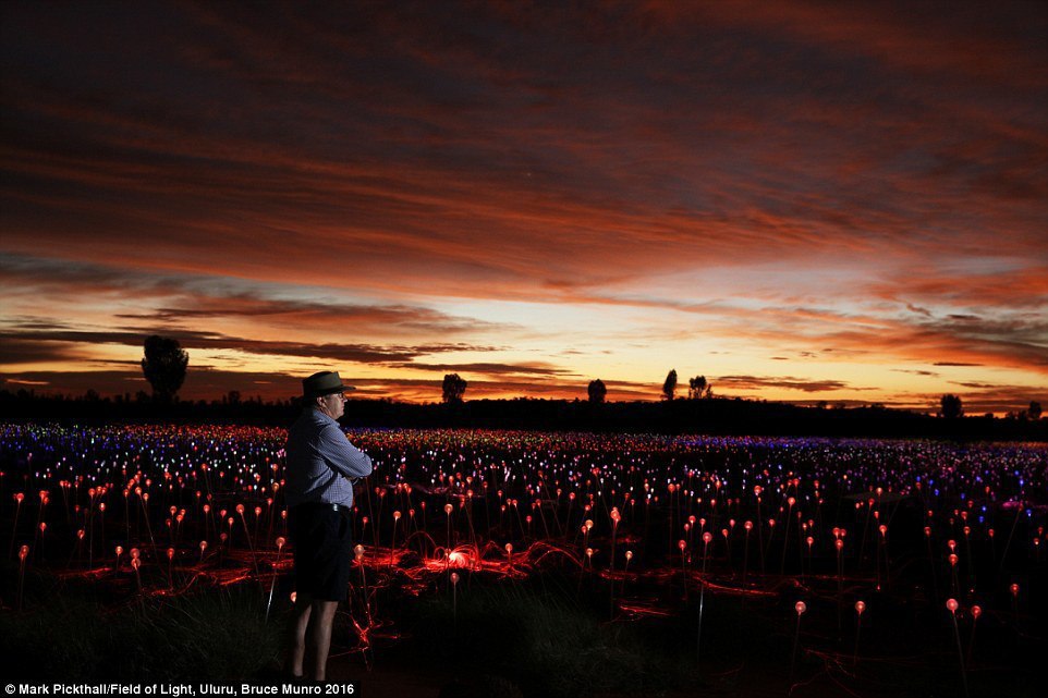     Bruce Munro - 6