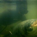 ���� ��������, ����-�������, 61 ��� - ��������� 28 ����� 2016 � ������ ���� ����������