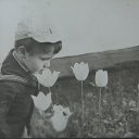 ���� �������, �����, 54 ���� - ��������� 29 ������� 2016 � ������ ���� ����������