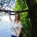 ���� ����, ������ - ��������� 31 ��� 2016 � ������ ���� ����������