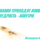  , , 44  -  16  2016    Ȼ