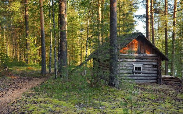 Рытовский кордон, Верхнекамский район, Кировская область. Россия - 2