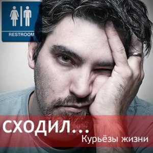 Курьёзы жизни. Чудо биотуалет.Однажды вечером в Штуттгарте, что на юге Германии, малая нужда ...