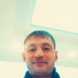 ���� ������, ����, 43 ���� - ��������� 1 ������ 2016