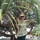 ��������� �������.���� 2016 �� ������� ���� ����������