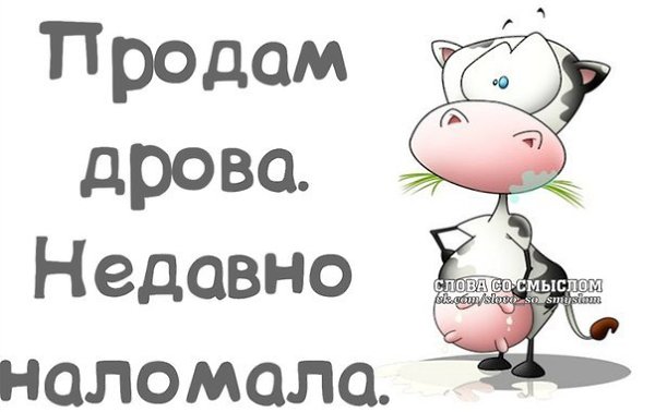  Ѩ  - 29  2016  08:58