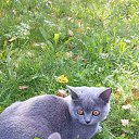 ��� ���� - 6 ���. �� ������� ���� ����������