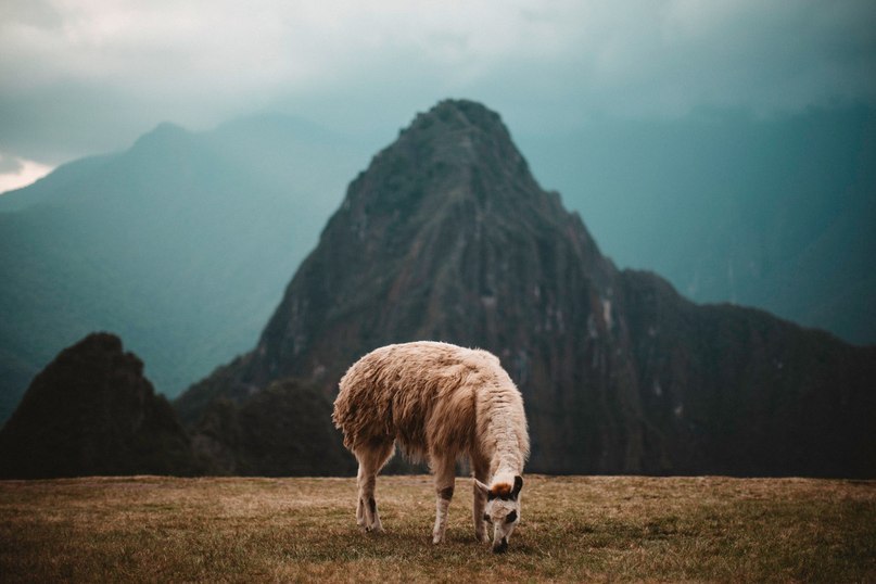 PERU - 3