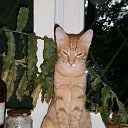 ���� �������, �����-���������, 55 ��� - ��������� 3 ������� 2016 � ������ ��������