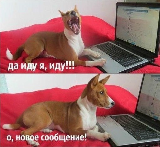    ר! - 2  2016  01:05