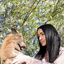 ���� ���, ������� - ��������� 20 ���� 2016 � ������ ���� ����������