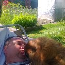  , , 40  -  24  2016    ߻