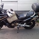 ���� ������, �����, 57 ��� - ��������� 14 ������� 2016 � ������ ���� ����������