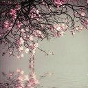 ���� ��������� ���������, ��������� - ��������� 14 ����� 2016 � ������ ���� ����������