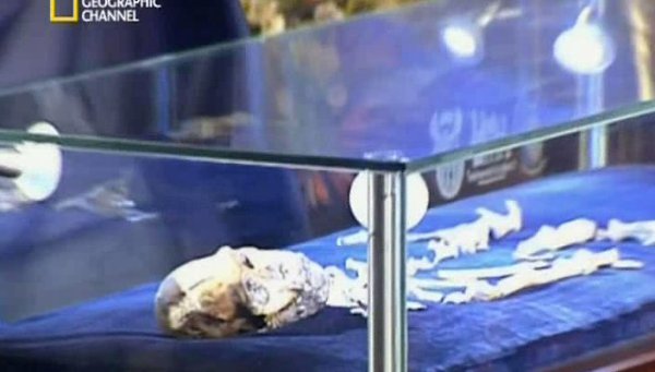 Мальчик, которому два миллиона лет.(The Two Million Year Old Boy)Раскрыв тайну жизни и смерти ... - 3
