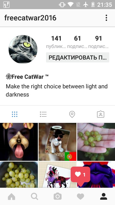 Free Catwar ™ - 15  2016  21:36