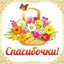 ���� �������, ������, 69 ��� - ��������� 18 ���� 2016 � ������ �������� ��������