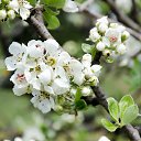 ���� Serg, �����������, 59 ��� - ��������� 2 ��� 2016 � ������ ���� ����������