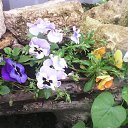 ���� �����, ���������� - ��������� 5 ���� 2016 � ������ �������