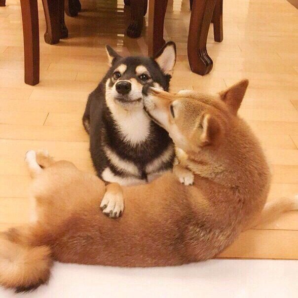        - 2