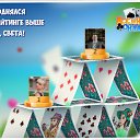 ���� ������, ������� - ��������� 4 ��� 2016 � ������ �������� �������-�������