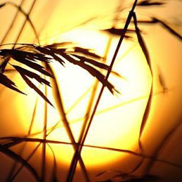 ���� Viktor, ������������, 63 ���� - ��������� 2 �������� 2016