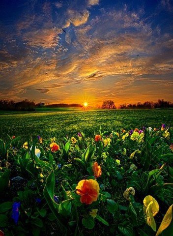  Phil Koch